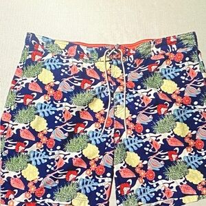 Nautica Blue Patterned Men's Swim Trunks